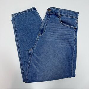 Loft High Rise Barrel Jean Sz 6